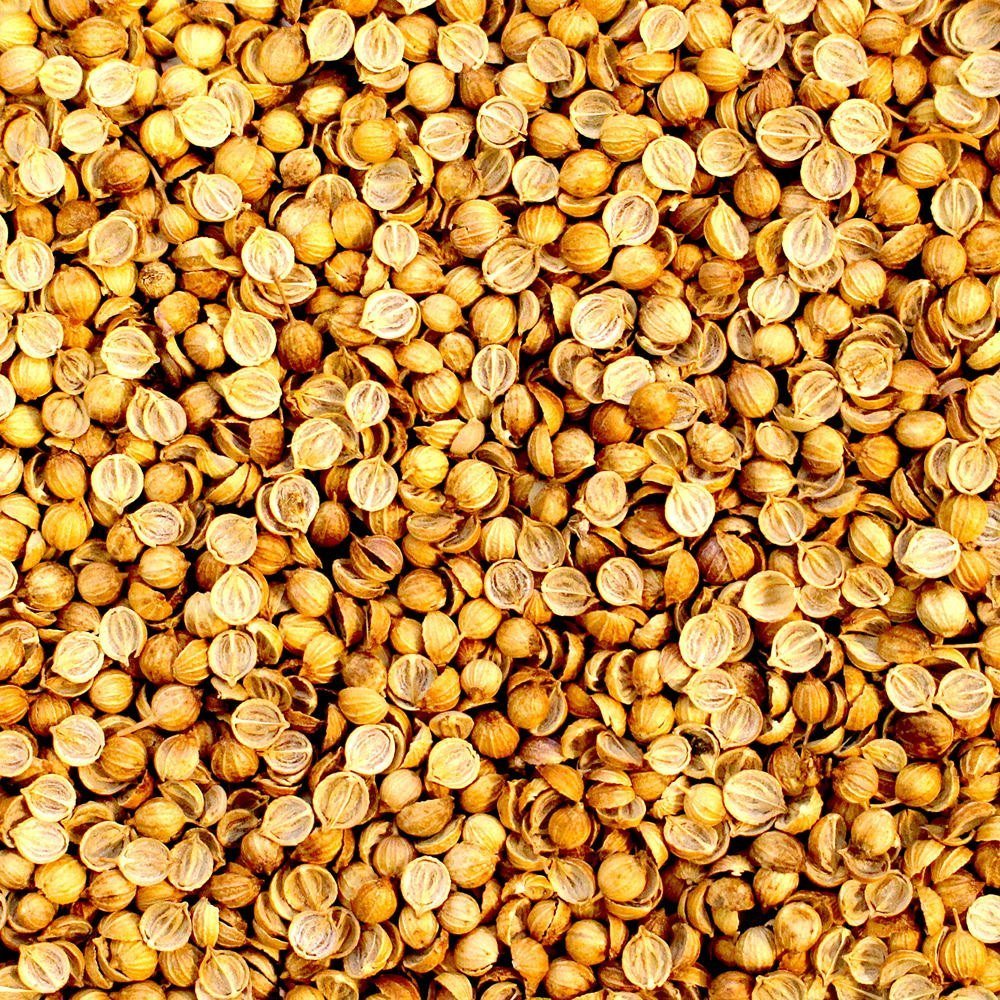 Home coriander split